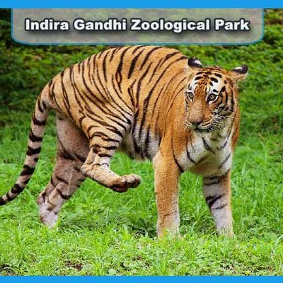 Indira Gandhi Zoological Park