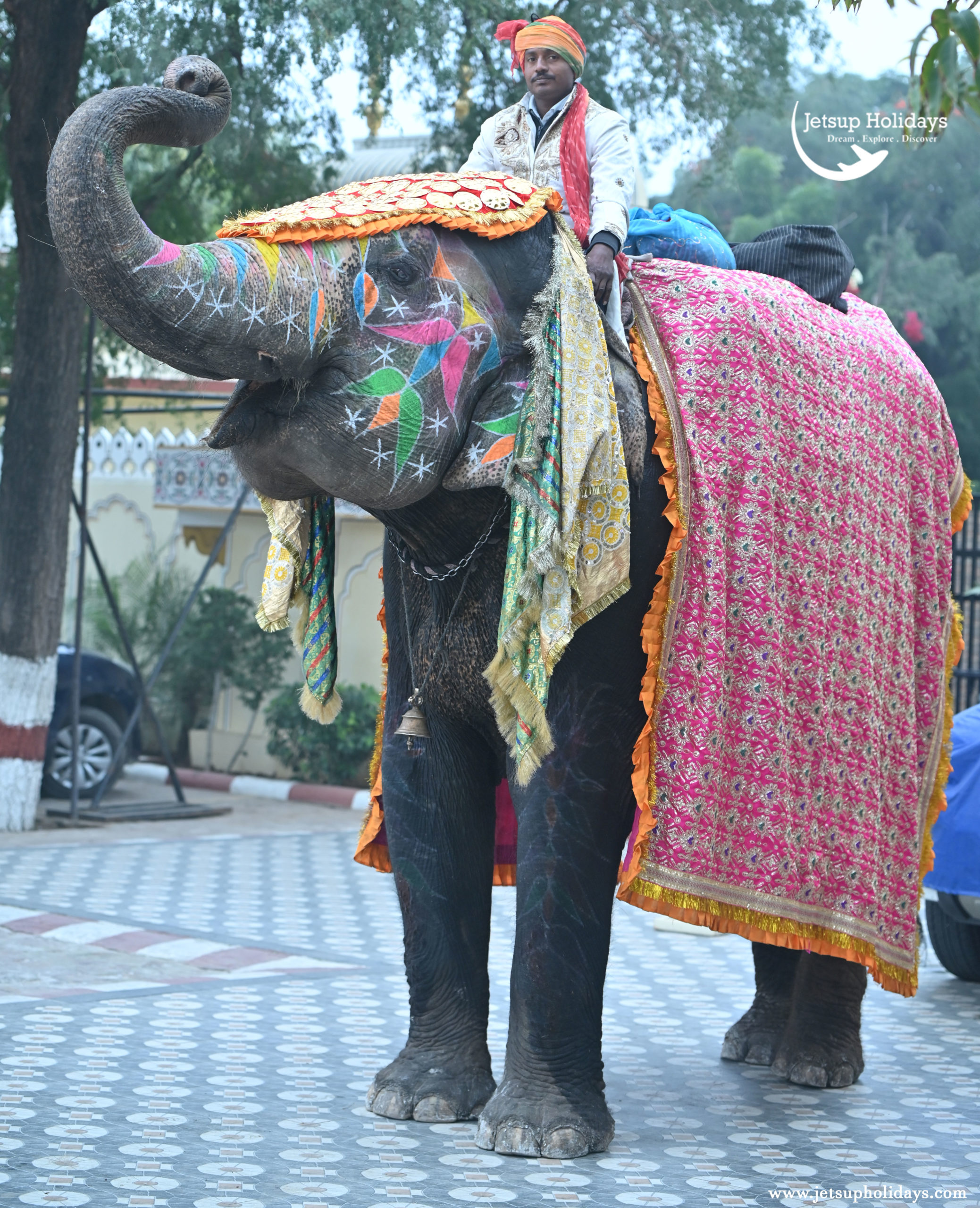 Guest-Welcome-by-Elephant